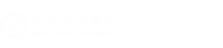 2025世俱杯官方用球