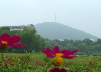 优秀员工作品——吕乐瑶《花与山》《舒展》